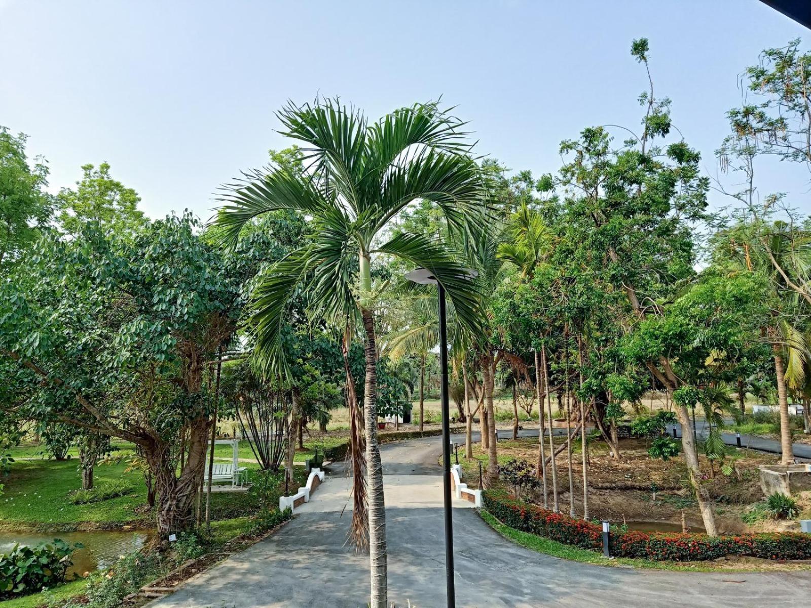 Nan Bluesky Resort And Spa ภายนอก รูปภาพ